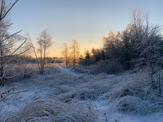 Snowy winter landscape