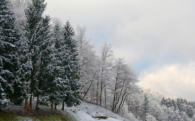 The snowy December landscape on the outskirts of Skofja Loka in Gorenjska, Slovenia
