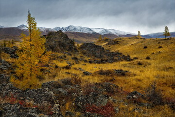 Russia. The South of Western Siberia, the Altai Mountains. The beginning of autumn on picturesque rocky placers in the Kurai steppe along the Chui tract.