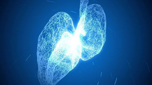 Abstract Lungs Appearing in and out