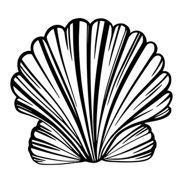 Black marine pearl seashell or mollusk for design of invitation, fabric, textile, etc.