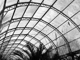 glass ceiling of an old abandoned greenhouse 