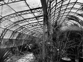 old abandoned greenhouse 