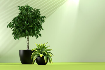 Background for advertising banners with green plants