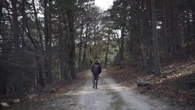 Bosque