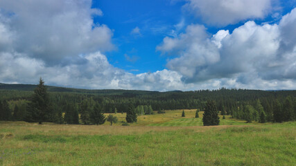 A view to the beautiful summer landscape from meadows at Knizeci Plane, Czech republic