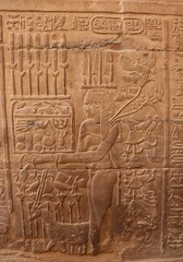 Ancient egyptian carvings at Kom Ombo temple in Aswan, Egypt 