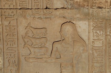 Ancient egyptian temple of Kom Ombo in Aswan 