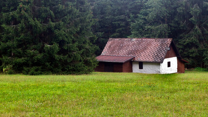 Fototapeta na wymiar Meadow with little cottage surrounded by trees near Kubova Hut, Czech republic