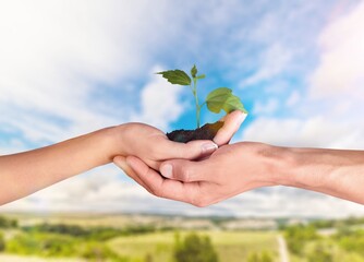 Earth day concept, hands hold a green plant