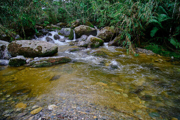 Naklejka na ściany i meble Beautiful scenery of a water course inside the forests of the cloud forest of Peru, crystalline and pure waters that form small waterfalls in such a natural, pure and wild environment.