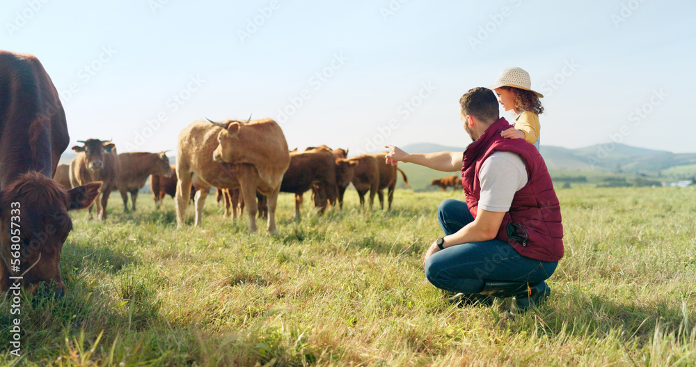 Poster Farm, family and cattle with a girl, mother and father walking on a field for agriculture or sustainability farming. Farmer, love and parents with a daughter on a grass meadow with cows on a ranch