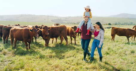 Family, farm and agriculture with a girl, mother and father walking on grass in a meadow with cows....