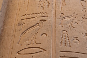 Ancient egyptian temple of Kom Ombo in Aswan 