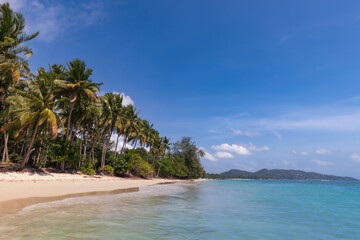 Sandy beach at tropical paradise with palm trees on sea shore and turquoise ocean, Samui, Thailand