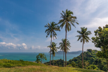 Fototapeta na wymiar Tropical paradise with tall palm trees on hill top, turquoise ocean and islands, Samui, Thailand