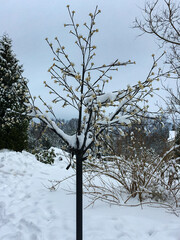 Deserted winter park