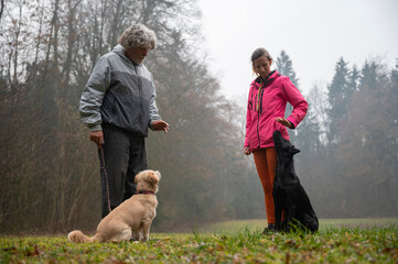Dog instructor teaching his client dog obedience - 568062513
