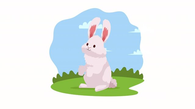 cute rabbit easter in landscape