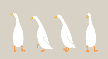 Indian runner ducks logo. Isolated indian runner ducks on white background. Bird