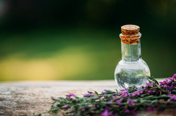 lavender oil and lavender