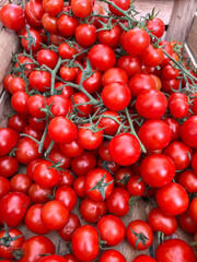 cherry tomatoes in a market