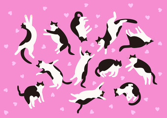 リラックスする白黒猫とピンク色の可愛いハート