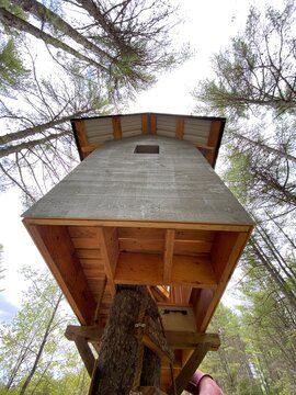 Tree House in The Woods