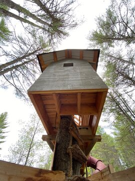 Tree house in the Woods