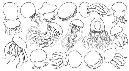 Jellyfish vector outline icon. Isolated outline set icon medusa.Vector illustration jellyfish on white background .