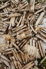 Used fireworks firecrackers lie outside rotting