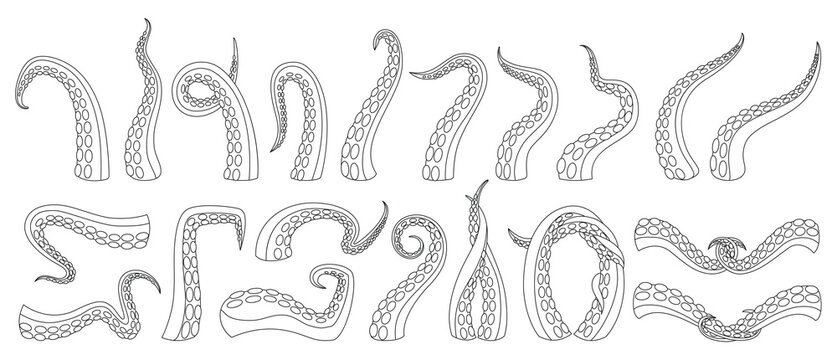 Tentacle of octopus vector outline icon set . Collection vector illustration octopus on white background. Isolated outline illustration icon set of tentacle for web design.