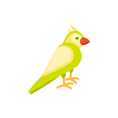 Cartoon Green Parrot on isolated background