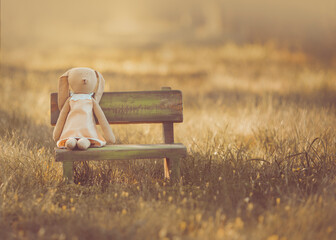 Una muñeca conejo sentada en un banco de madera en  el exterior con la luz del sol iluminando el...
