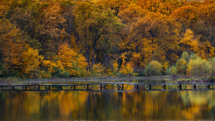 autumn in the forest, Moldova