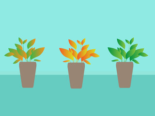 illustration of three flowers in a pot. for printing in books and magazines about plants, vegetable garden.
