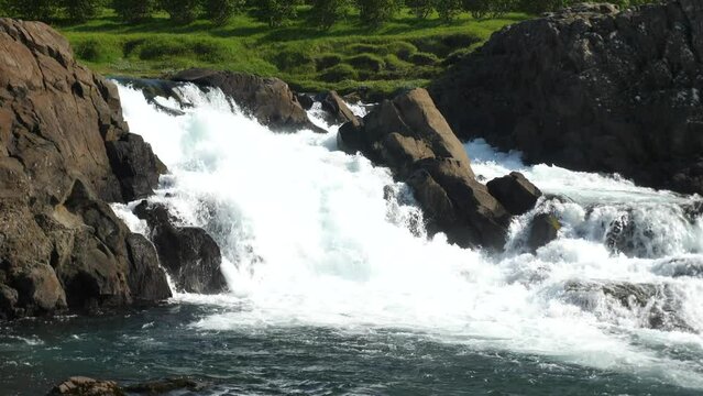 Glanni Waterfall with jumping salmon during summer in Iceland. Magical Icelandic landscape with lush green bushes. High quality 4k footage