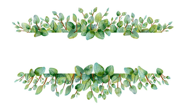 Watercolor wreath with green eucalyptus leaves and branches.