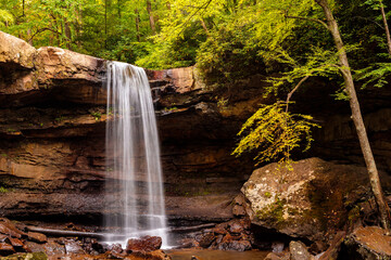 waterfall in the forest