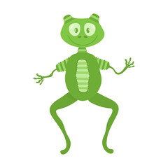 Cute smiling green frog in vector on white background