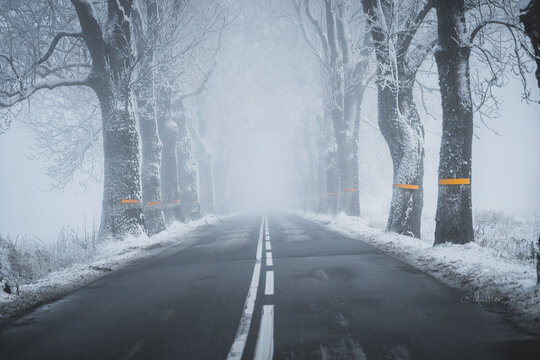 road in winter