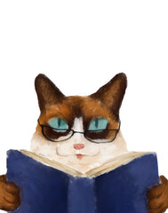 Gato estudiando sin fondo, leyendo un libro