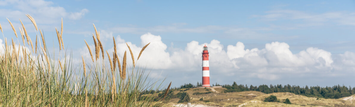 Dünengras mit Leuchtturm auf der Insel Amrum an der deutschen Nordseeküste