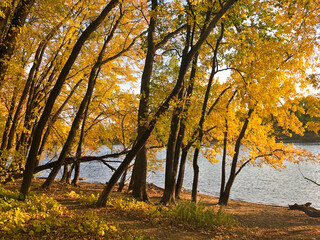 Fall colors on the Mississippi River near Minneapolis