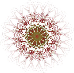 Beautiful round pattern. Vector file for designs.