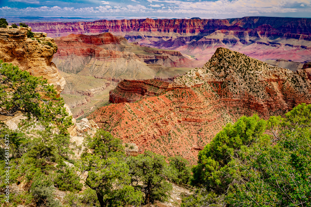 Wall mural Trees, valleys and peaks at the Grand Canyon north rim in Arizona