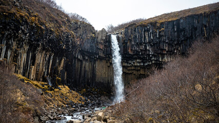 Beautiful powerful known Svartifoss waterfall with unique basalt columns surrounding it. Skaftafell...