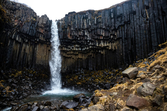 Beautiful powerful known Svartifoss waterfall with unique basalt columns surrounding it. Skaftafell in Vatnajökull National Park in Iceland.
