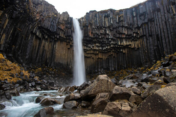 Beautiful powerful known Svartifoss waterfall with unique basalt columns surrounding it. Skaftafell in Vatnajökull National Park in Iceland.