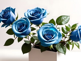 Romantic Blue Roses Bouquet - Isolated on White Background